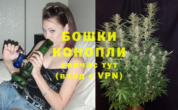мет Аркадак