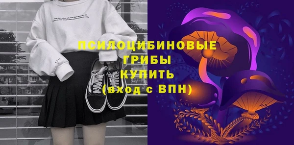 PSILOCYBIN Армянск