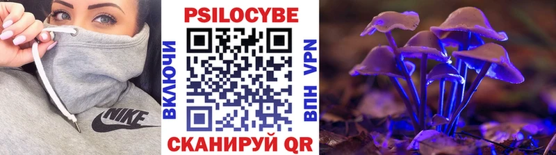 Псилоцибиновые грибы мицелий  Лахденпохья 